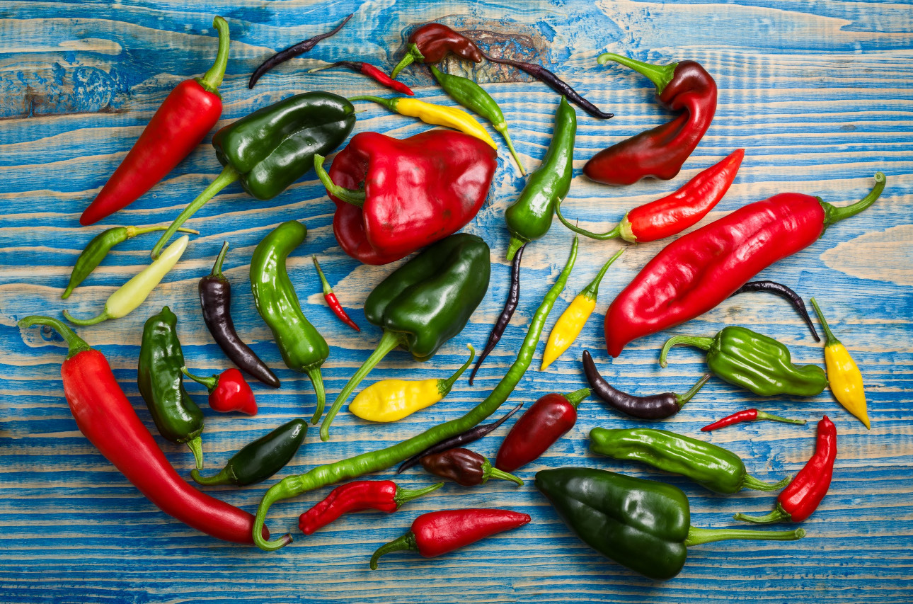 Los 6 alimentos esenciales para un desayuno mexicano